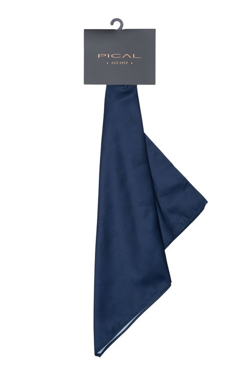 Pañuelo De Pecho Pical