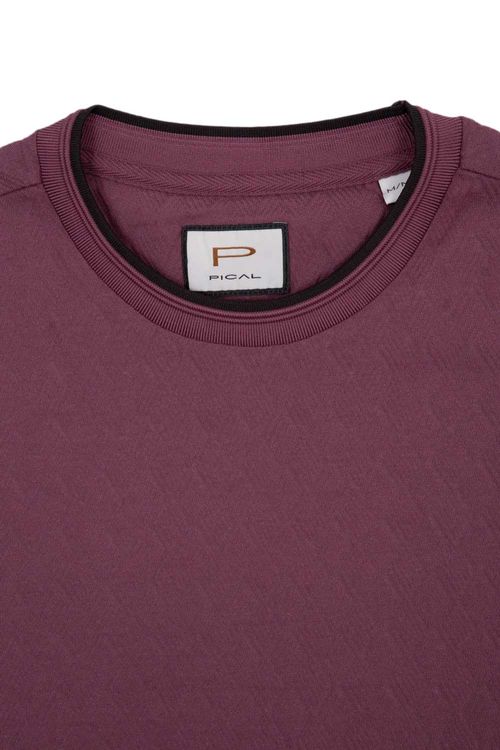 Camiseta Pical para hombres