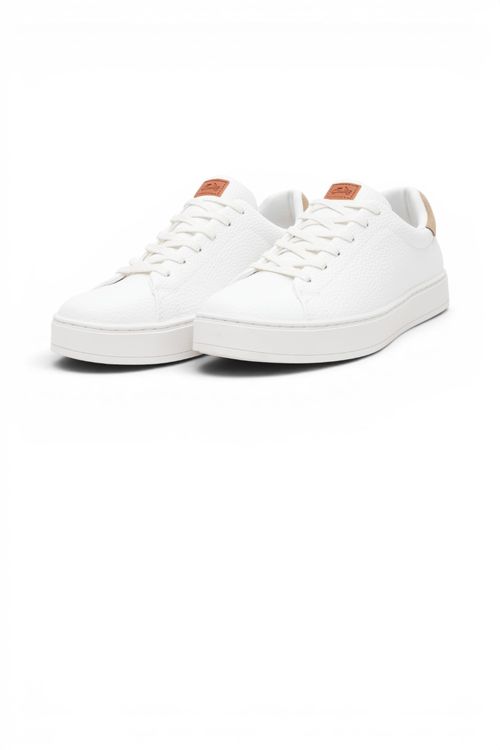 Zapatos Pical