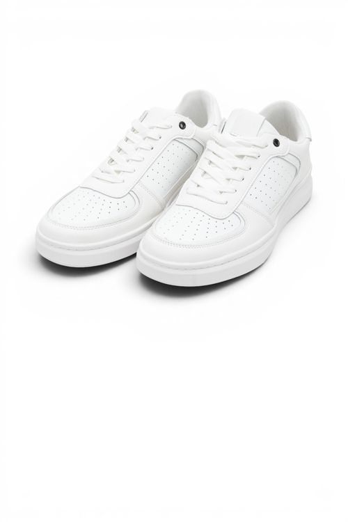 Zapatos Pical