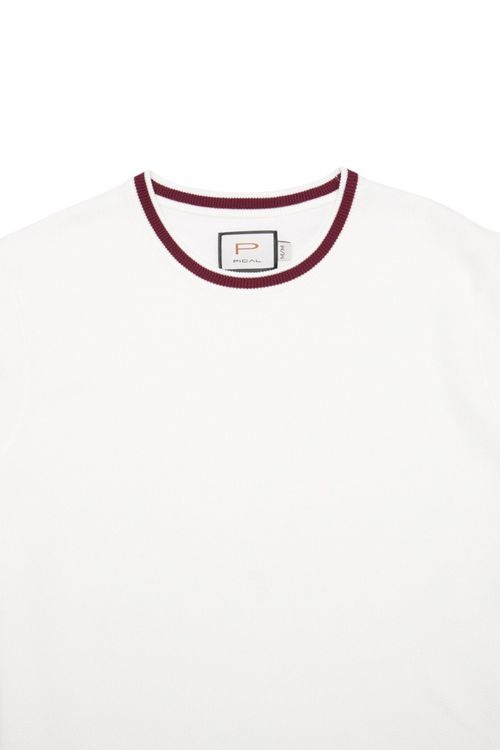 Camiseta Pical para hombres